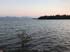 -深圳湾公园(南山区)