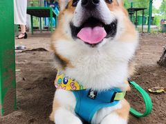-顺鑫绿色度假村