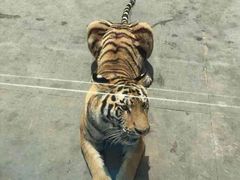 -西安秦岭野生动物园