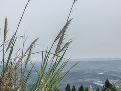 -窦圌山风景区