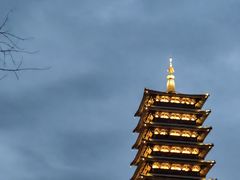 -牛首山文化旅游区