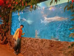 -西霞口神雕山野生动物世界