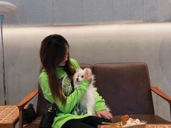 -烫面包·面包烘焙(绿地缤纷城店)