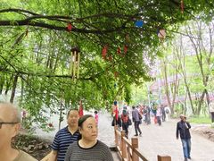-帽儿山风景区