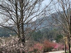 -北京鹫峰国家森林公园