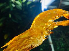 -御唐府海珊瑚主题餐厅