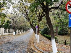 -八大关景区