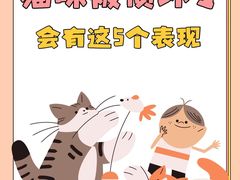 -佩兹宠物医院肿瘤专科·眼科·牙科(黄浦店)