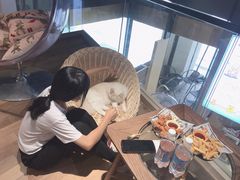 -瞄一喵猫咖(格力海岸店)
