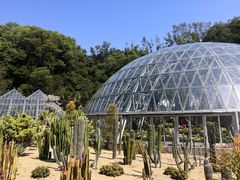 -深圳仙湖植物园