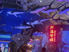 -烟台海昌鲸鲨海洋公园