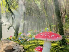 -腊山国家森林公园