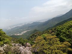 -梧桐山风景名胜区