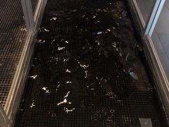 -王府半岛酒店
