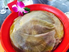 -二荆条·蜀鲜汇城市森林火锅