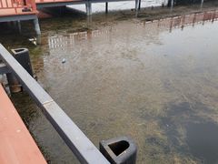 -乌梁素海景区