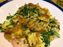 -食家鸽园