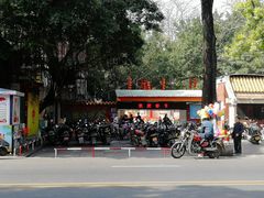 -金砂公园
