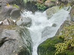 -大鄣山卧龙谷景区