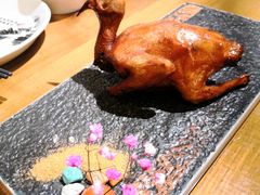-大鸽饭(岗顶店)