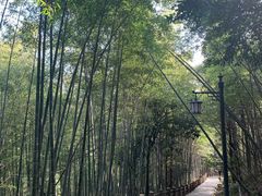 -敬亭山风景名胜区