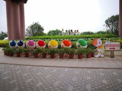 -百万葵园