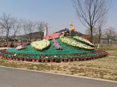 -西海岸生态观光园