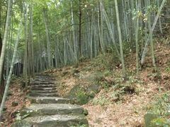 -百杖潭景区