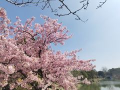 -苏浙汇(肇嘉浜路总店)