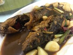 红烧昂子鱼-状元楼(金溪路店)