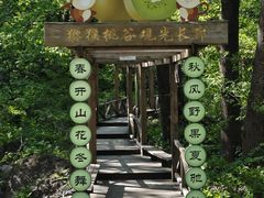 -大岭沟猕猴桃谷风景区