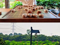 -乌村