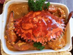 -茉莉.Red Crab