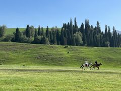 -新疆那拉提国家旅游度假区
