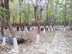 -亲兄弟真人CS团建拓展基地