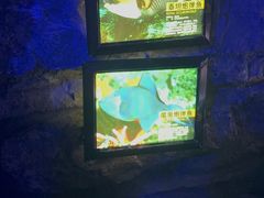 -皇家极地海洋世界-售票处