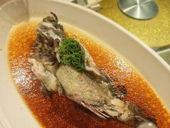 -金美华轩(东方路齐鲁店)
