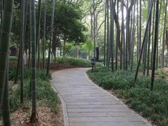 -西湖风景区十里琅珰-五云山