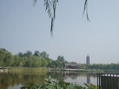 -西海子公园