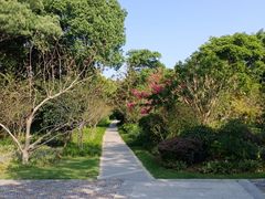 -昆山城市生态森林公园