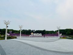 -上海鲜花港