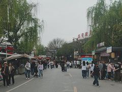 -茯茶镇
