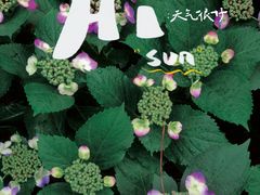 -临平公园(临平街道)