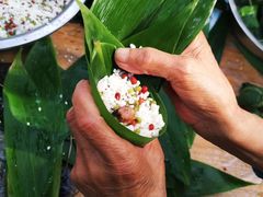 -铁山坪森林公园