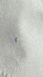 -东莞缔美美容医院