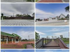-王借岗森林公园