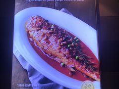 干烧有机大黄鱼-106餐厅(山水文园店)
