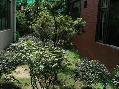 -宏八酒楼(西樵山景区店)