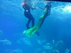 -常州海昌海洋探索馆