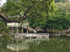 -晓港公园